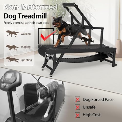 Dog Treadmill with Brake & Plastic Track P458037