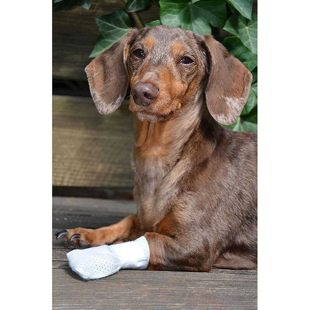 Dog Cat Paw Bandages O850