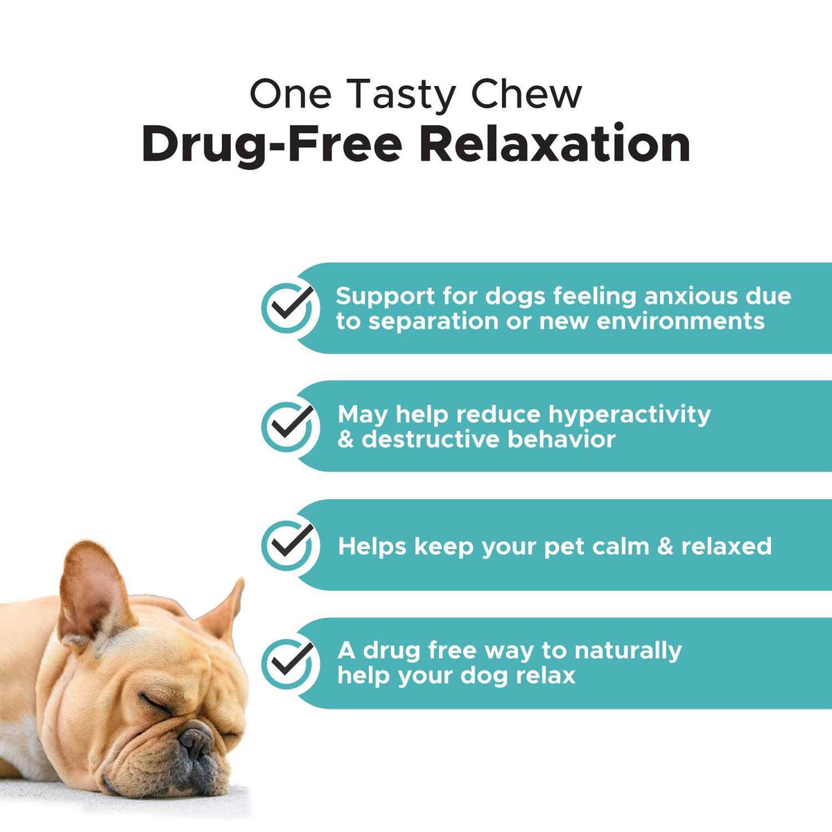 Melatonin Calming Dog Chew Supplement G257
