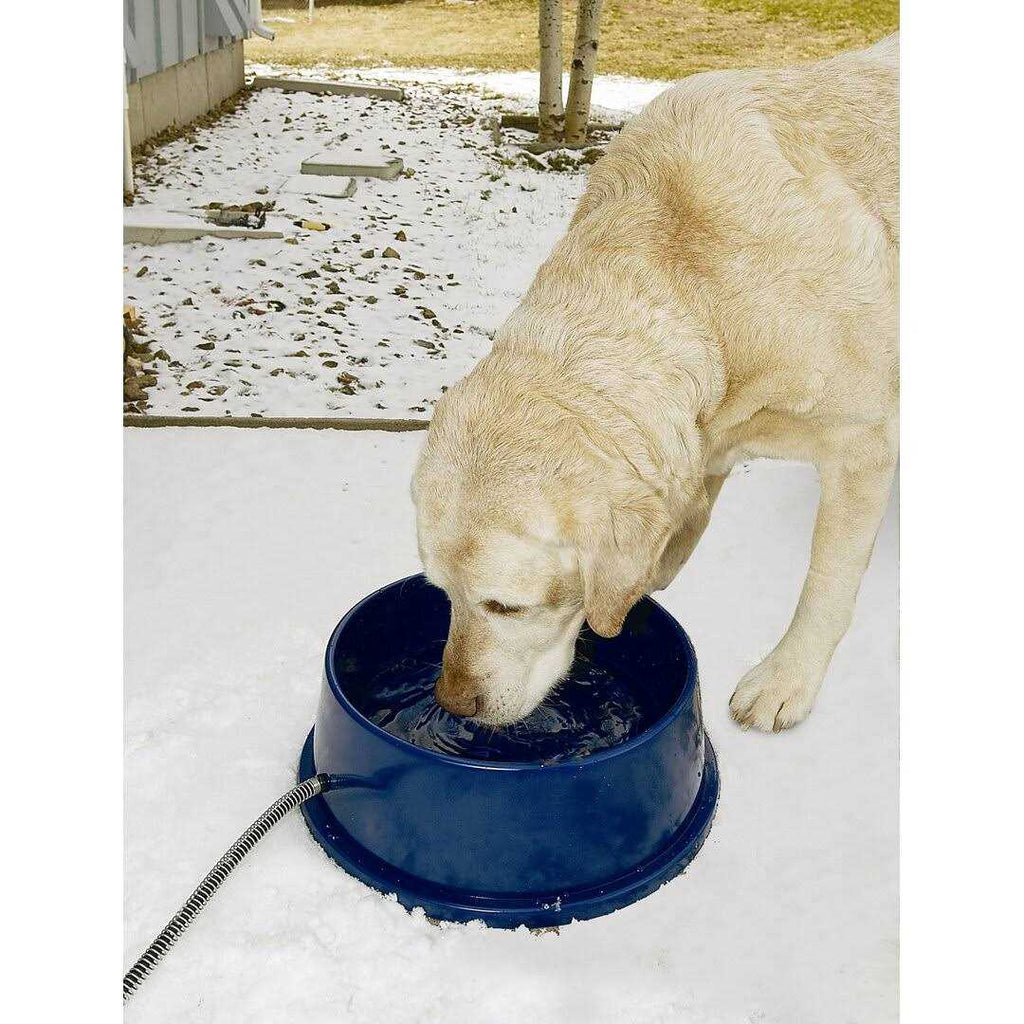 Thermal Pet Bowl K7305