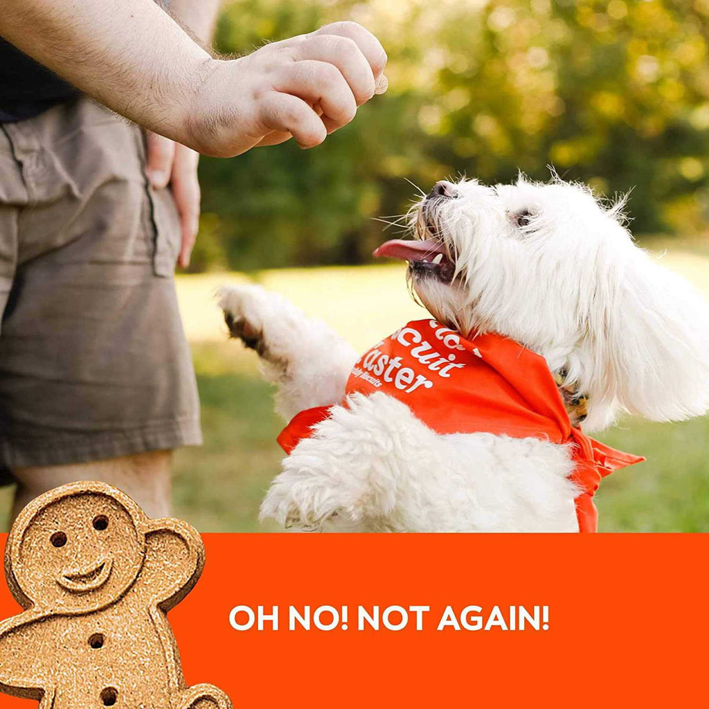 Peanut Butter Soft and Chewy Dog Treats J90711