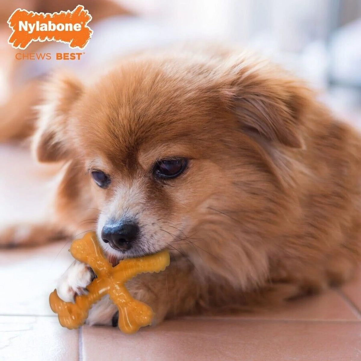 Senior Dog Chew Toy Turkey & Sweet Potato Small N98897