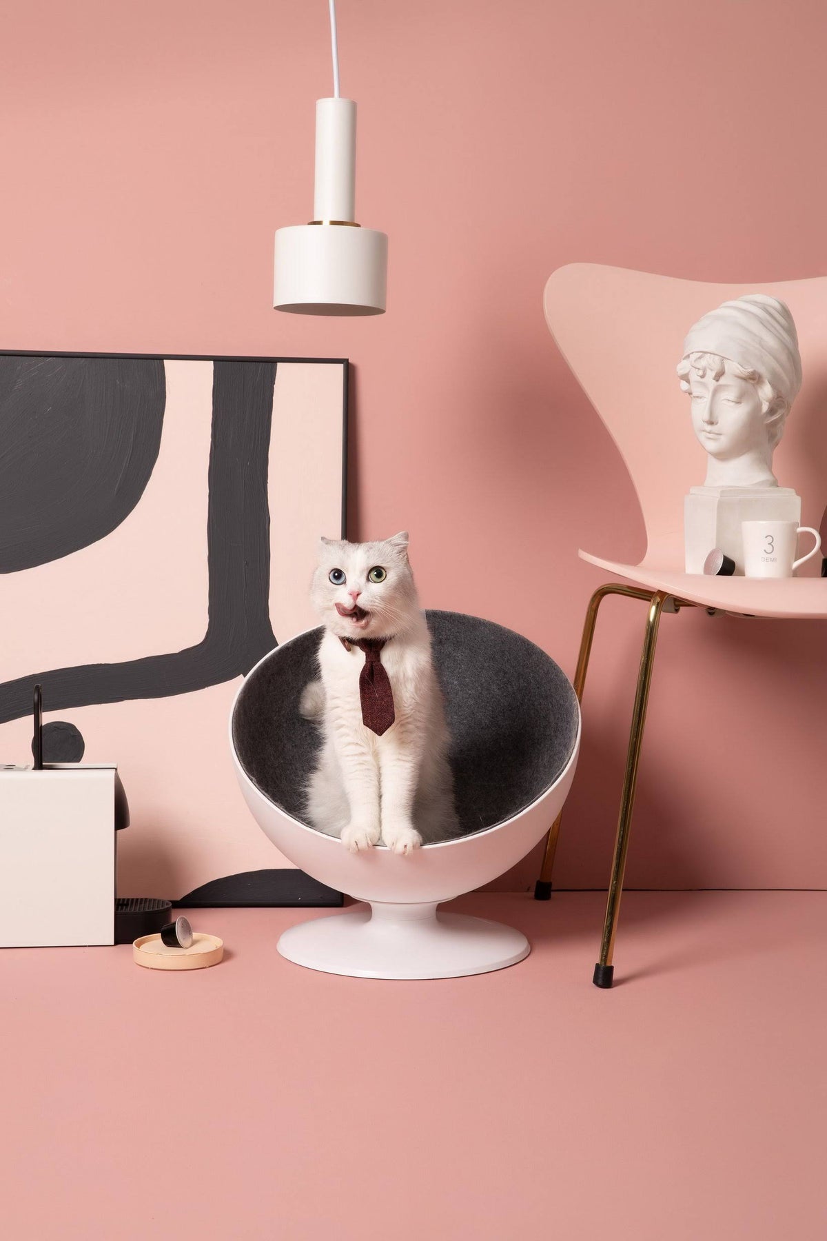 Elevated Cat Bed R574898
