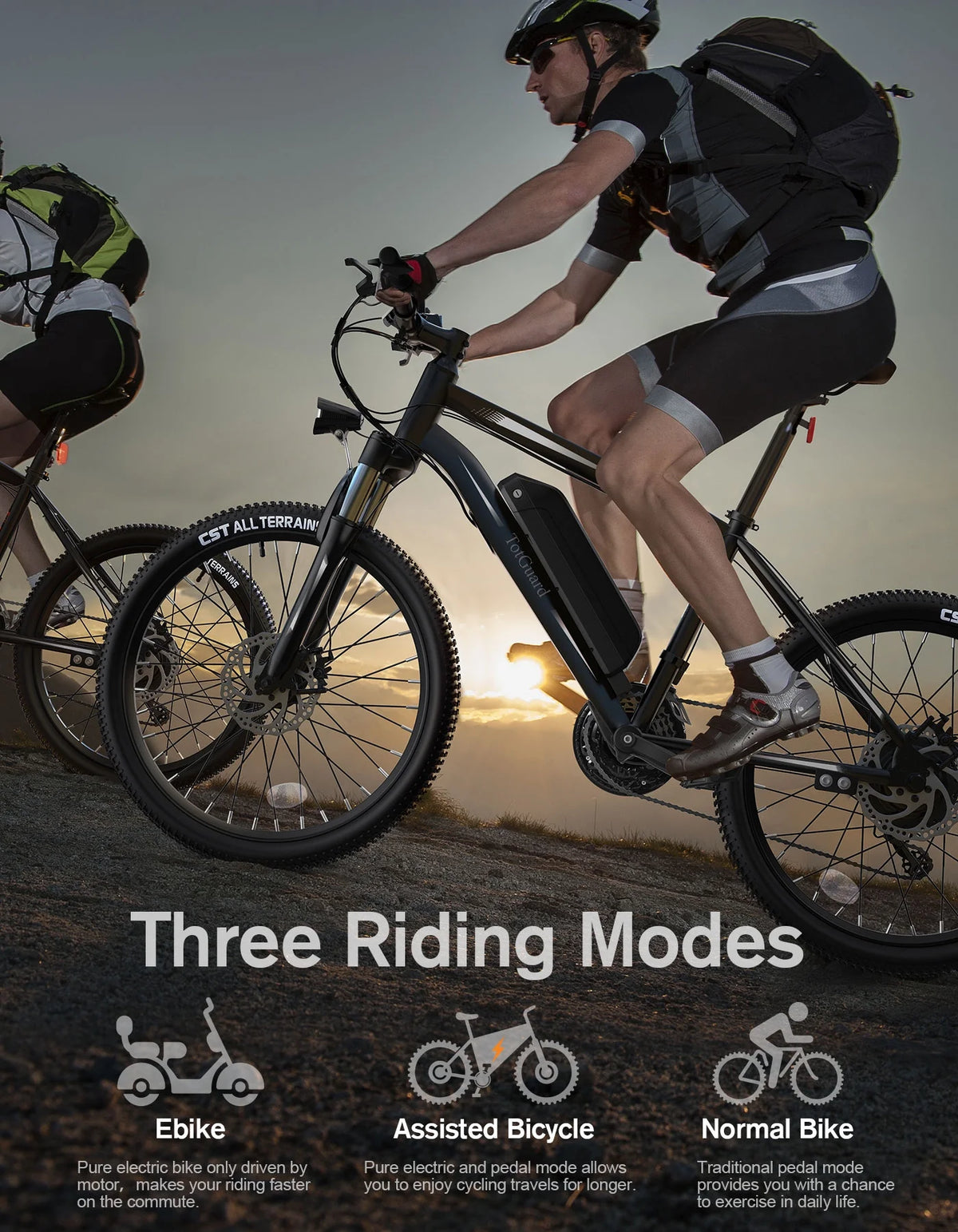 Electric Bike 26'' 350W 36V 10.4Ah 21 Speed Y280717