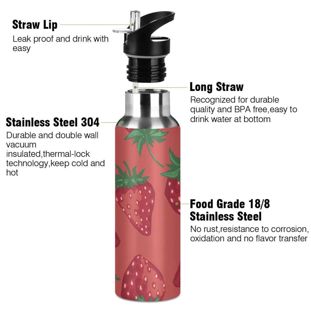 Stainless Steel Insulated Water Bottle with Straw Lid Z549