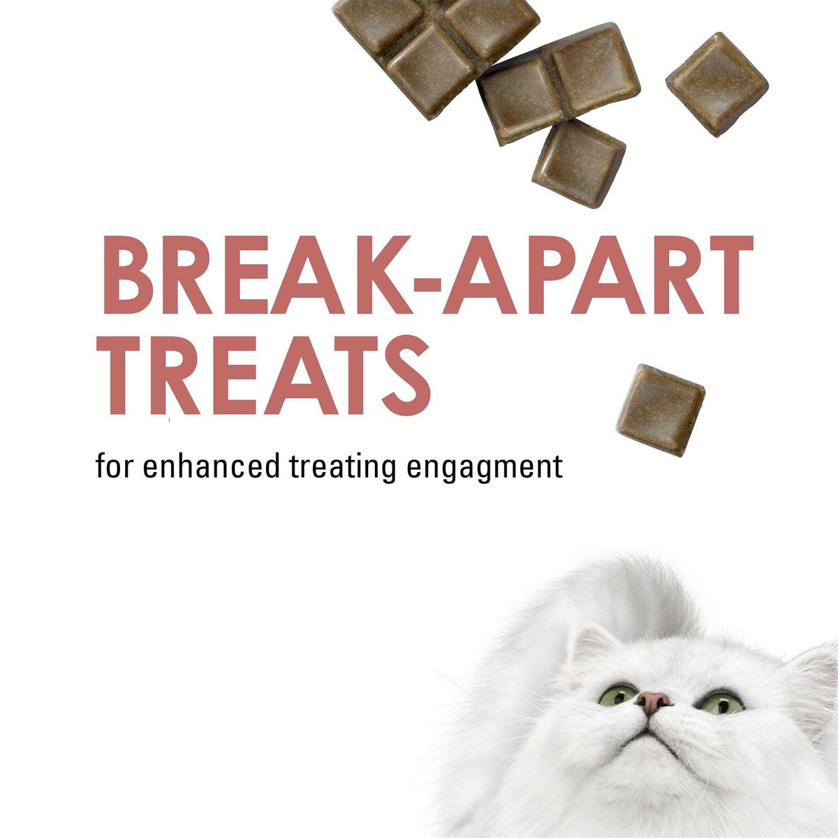 Limited Ingredient Salmon Flavor Cat Treats W7709