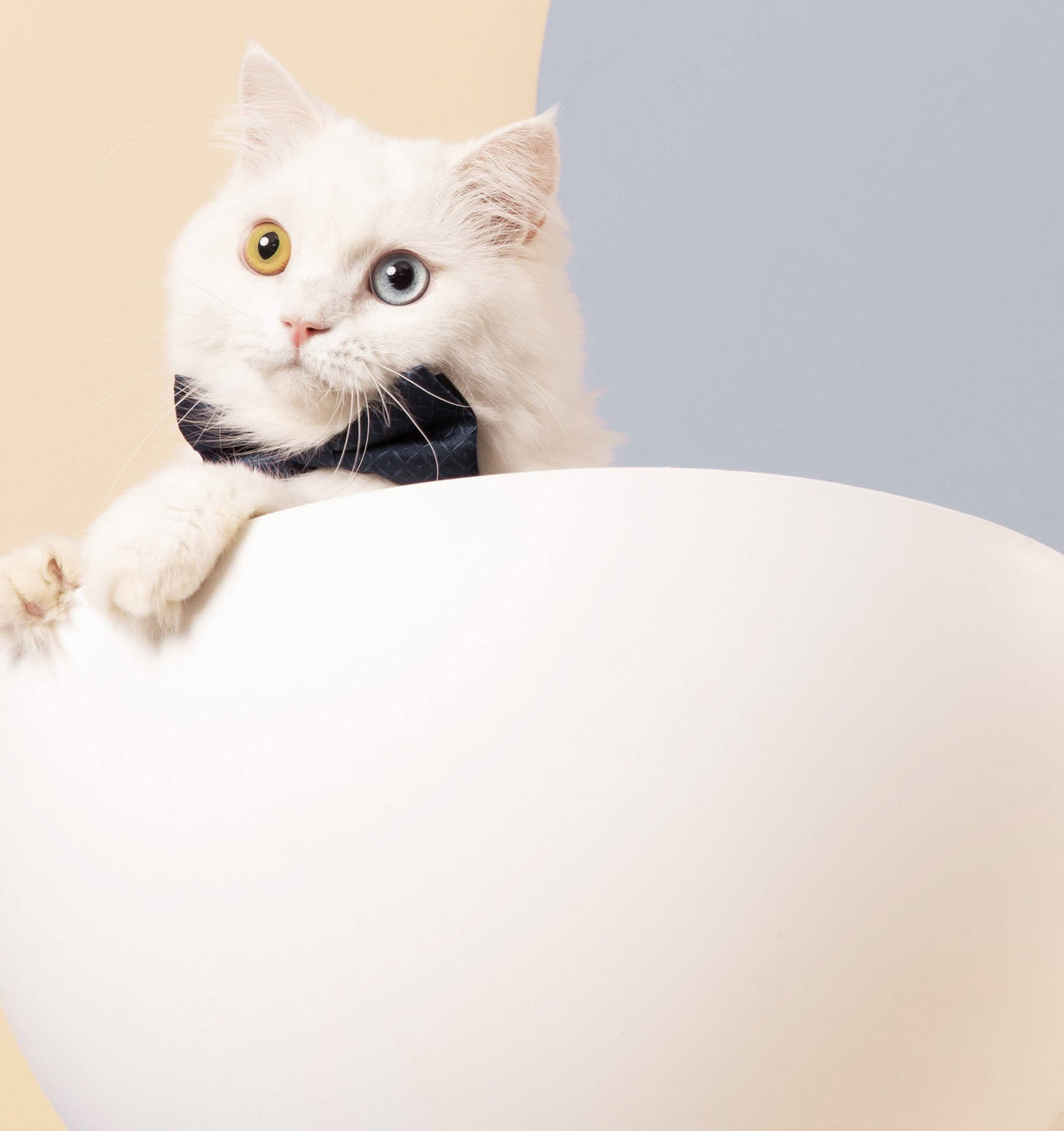 Elevated Cat Bed R574898