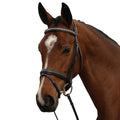 Padded Crystal Crank Flash Bridle Brown COB C7505