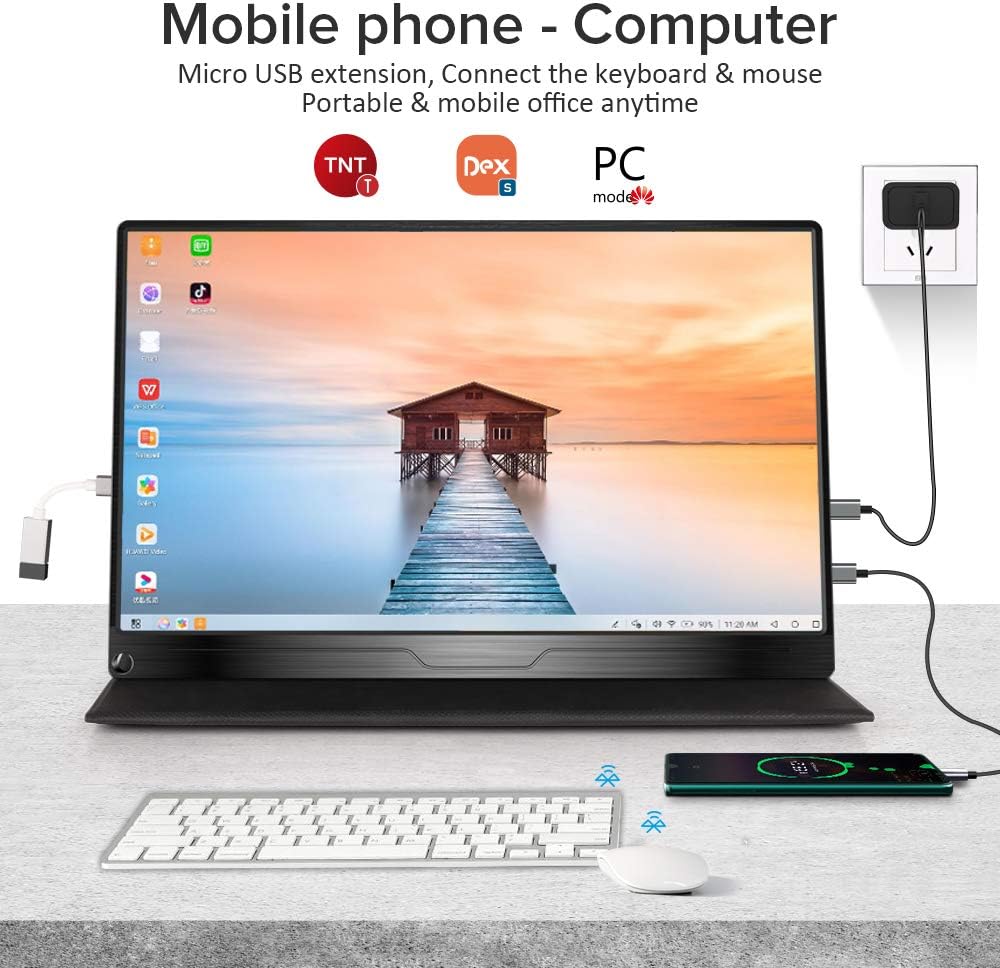 17.3 Inch IPS HDR FHD Portable Monitor with Dual Speaker E210