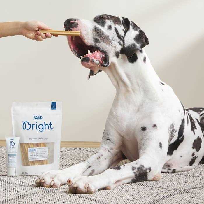 Dental Sticks for Large Dogs Chews J1849