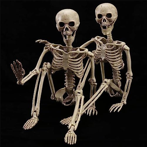 2 Pack 40 Inches Halloween Skeleton Full Body Posable H575089