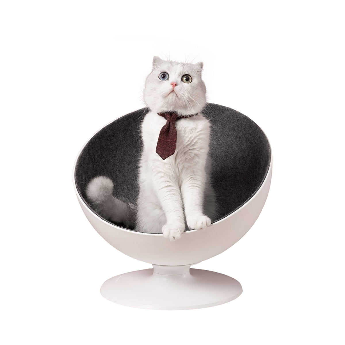 Elevated Cat Bed R574898