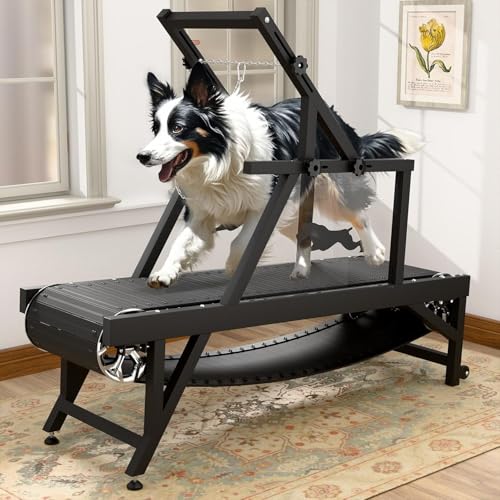 Dog Treadmill with Brake & Plastic Track P458037