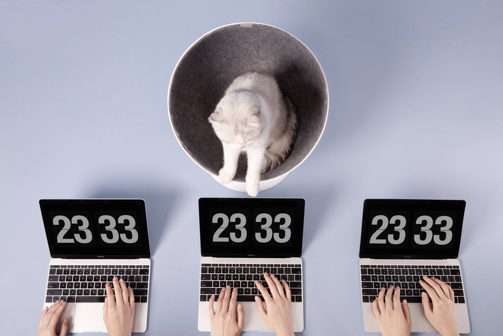 Elevated Cat Bed R574898
