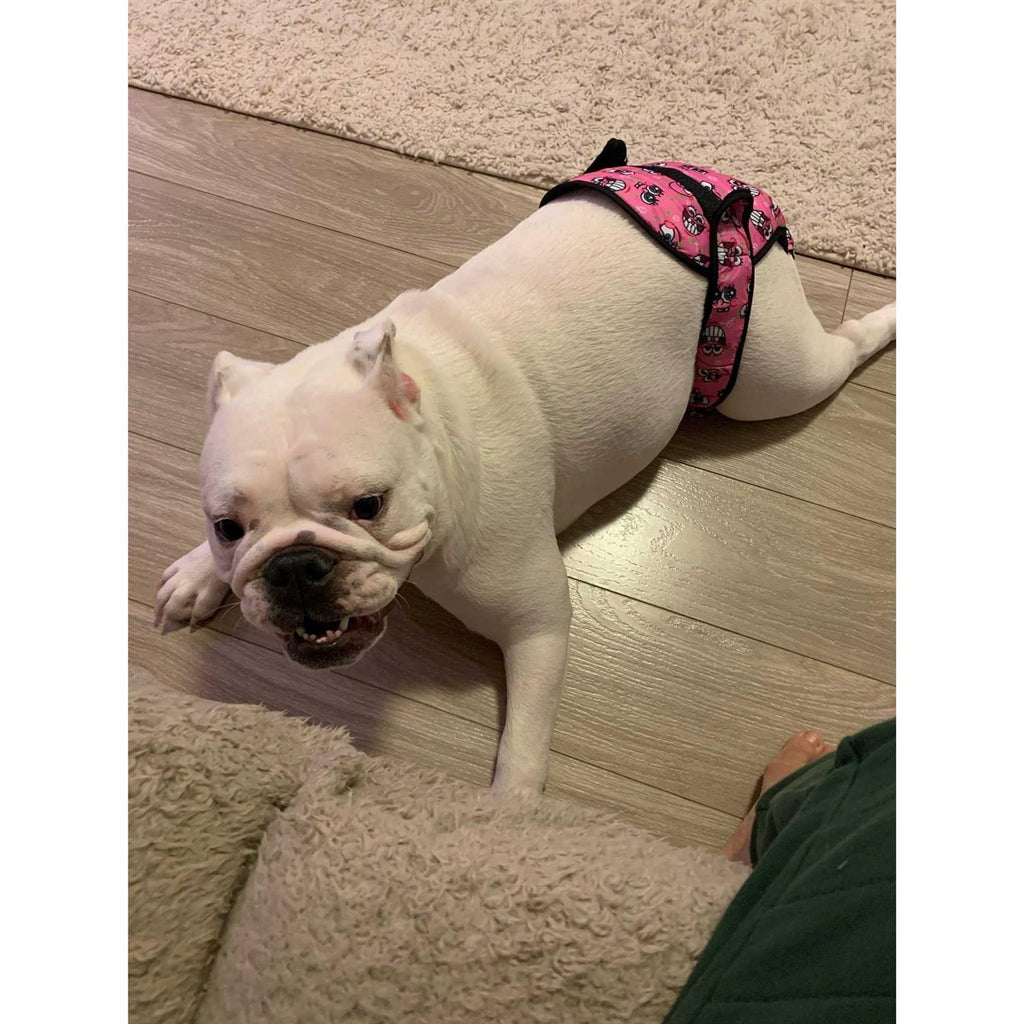 Washable Female Dog Diaper J3143