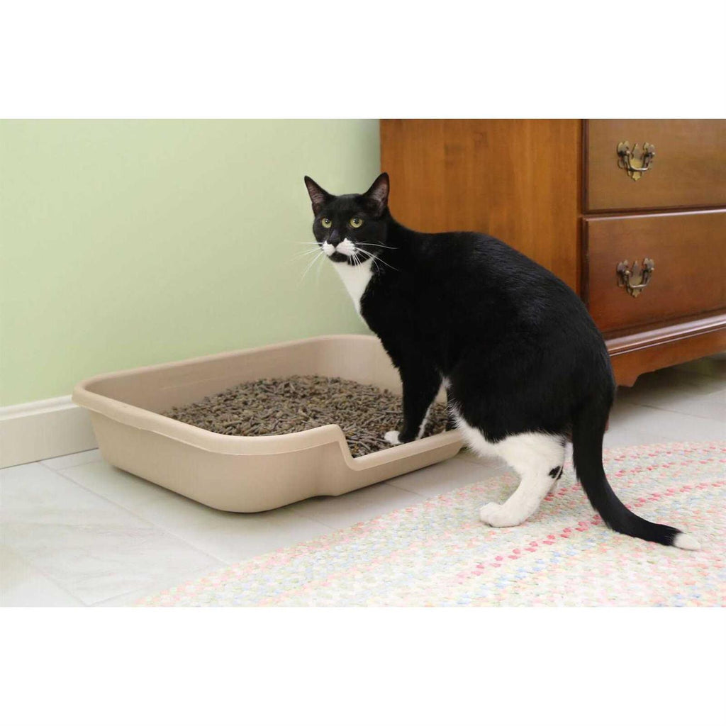 Senior Cat Litter Box Y352