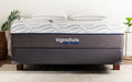 Queen Plush Standard Mattress Set Z110