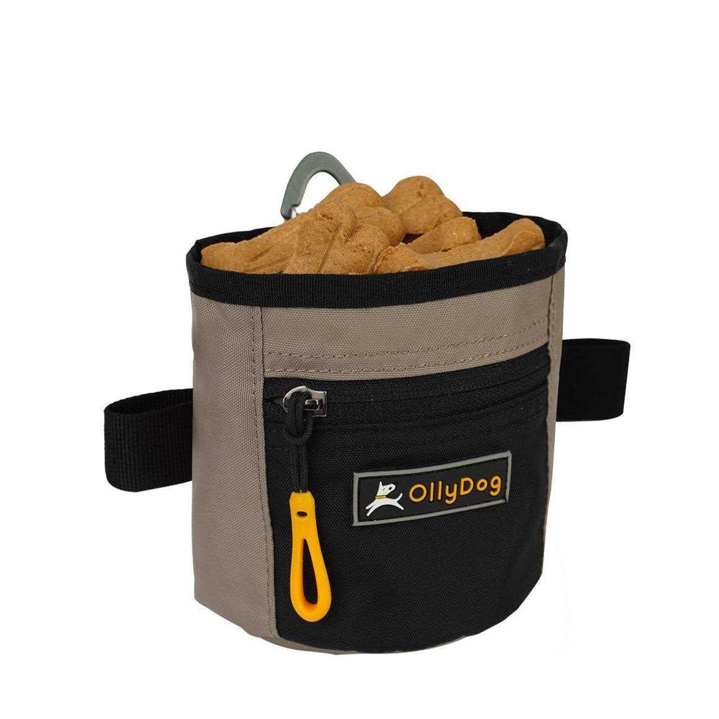 Treat Bag A93447