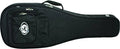 Acoustic Guitar Case M779