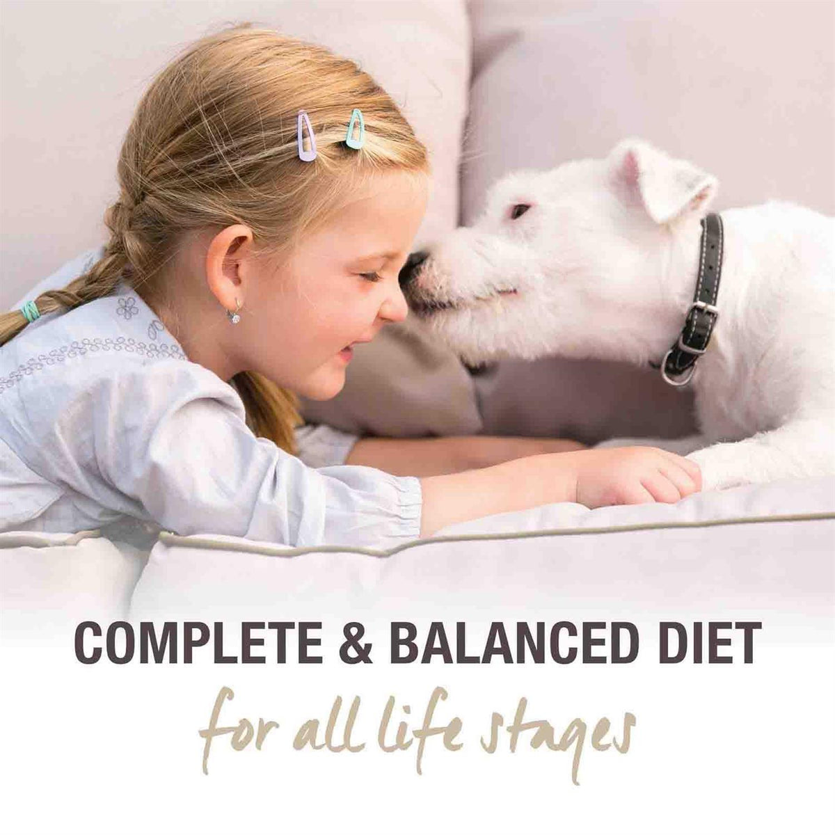 Freeze-Dried Beef Dog Food Z1572
