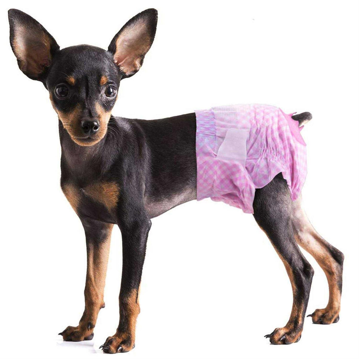 Soft Female Disposable Dog Diapers H9700