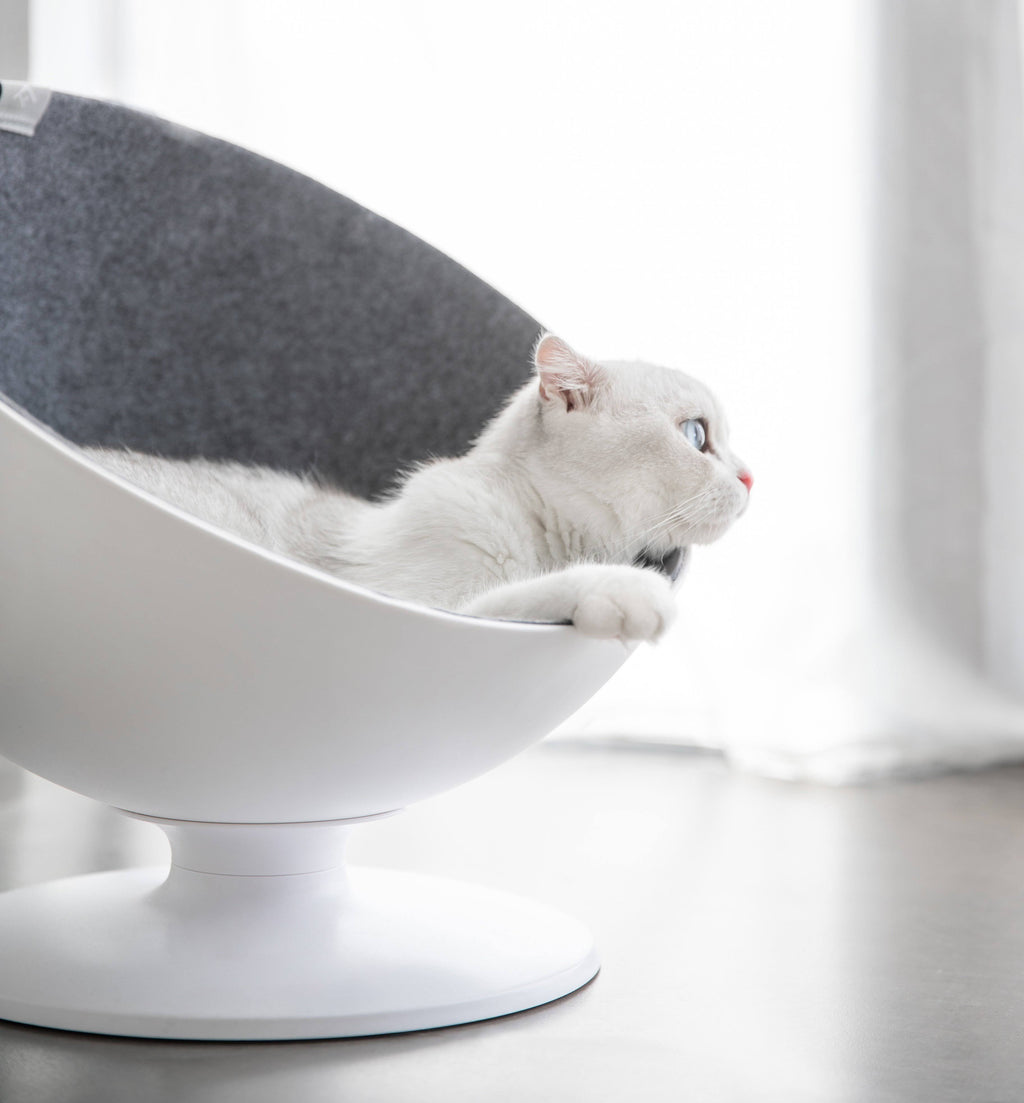 Elevated Cat Bed R574898