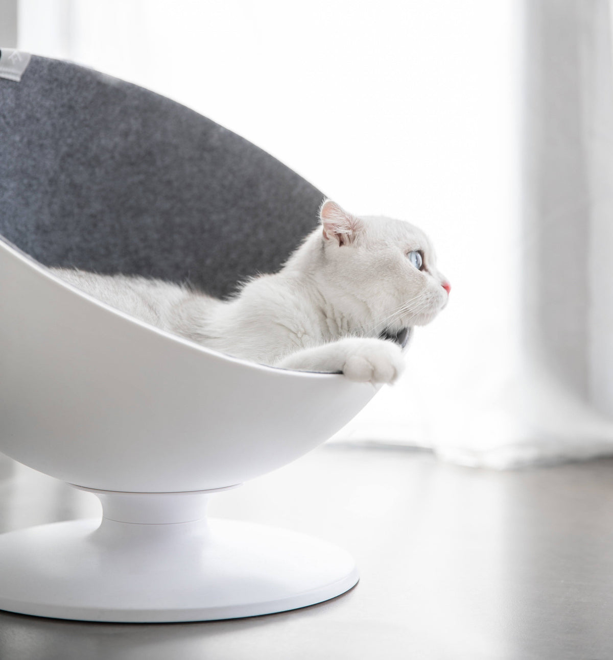 Elevated Cat Bed R574898