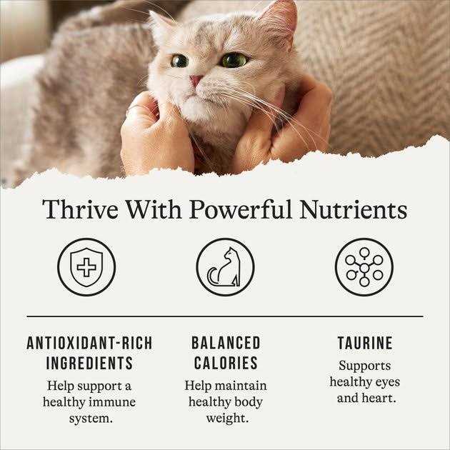 Salmon Grain-Free Dry Cat Food O1001