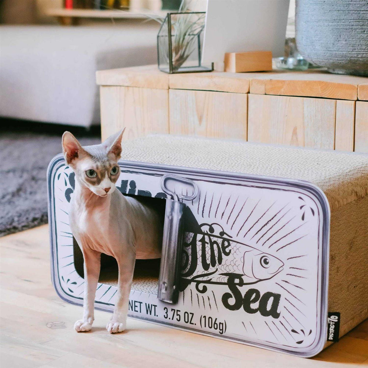 Cardboard Cat Scratcher F2901