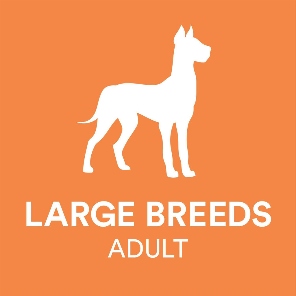 Chicken & Brown Rice Recipe Dry Dog Food P3838