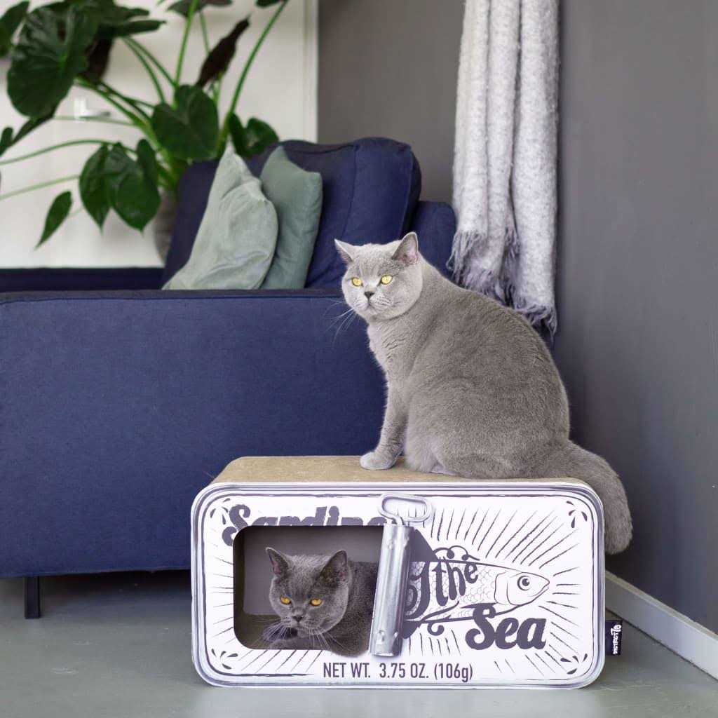 Cardboard Cat Scratcher F2901