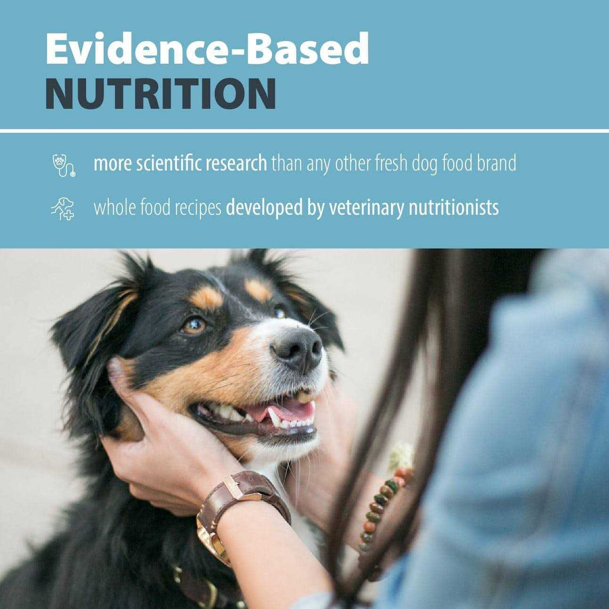 Balanced Frozen Dog Food U775279