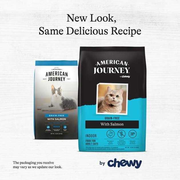 Salmon Grain-Free Dry Cat Food O1001