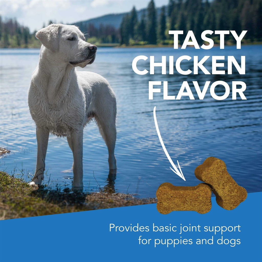 Pet Supplies Y632