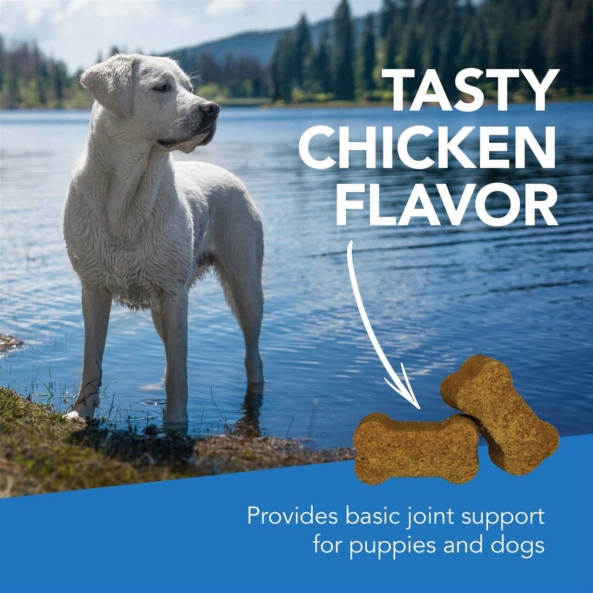 Pet Supplies Y632