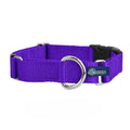 Martingale Dog Collar F818