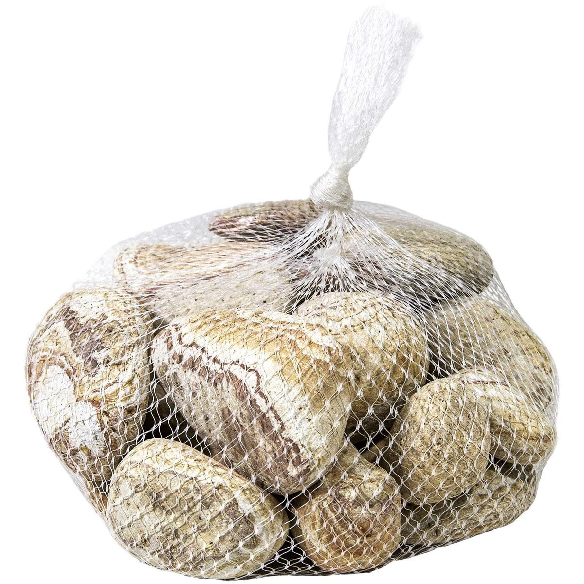 Natural Terrarium Stones J761705