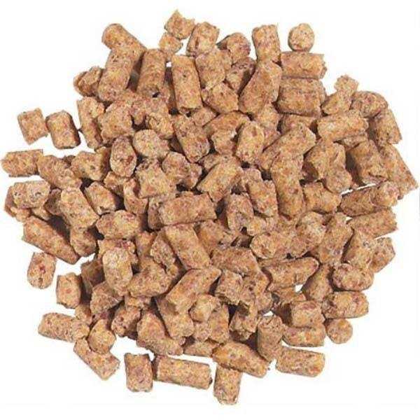 Daily Maintenance Medium Pet Supplies X352