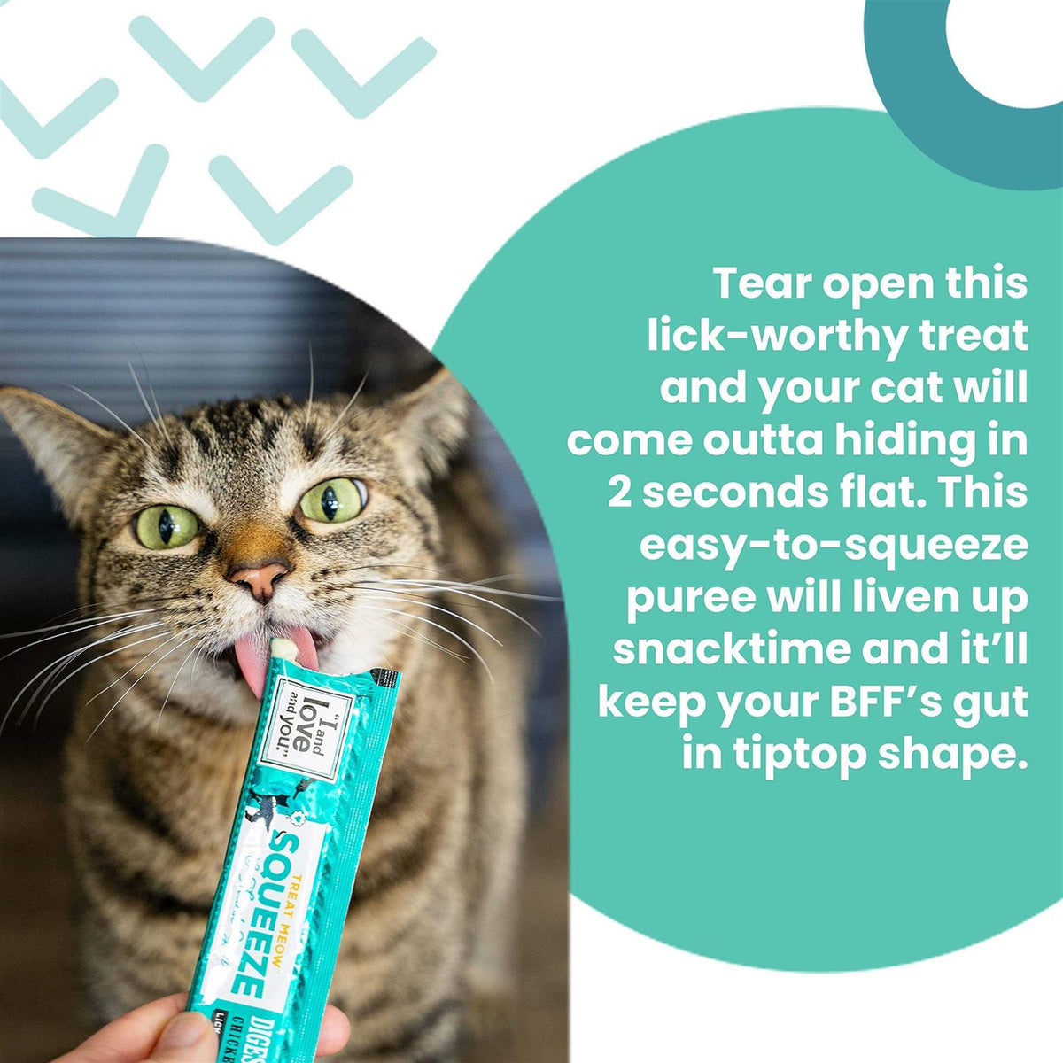 Lickable Cat Treats N2680