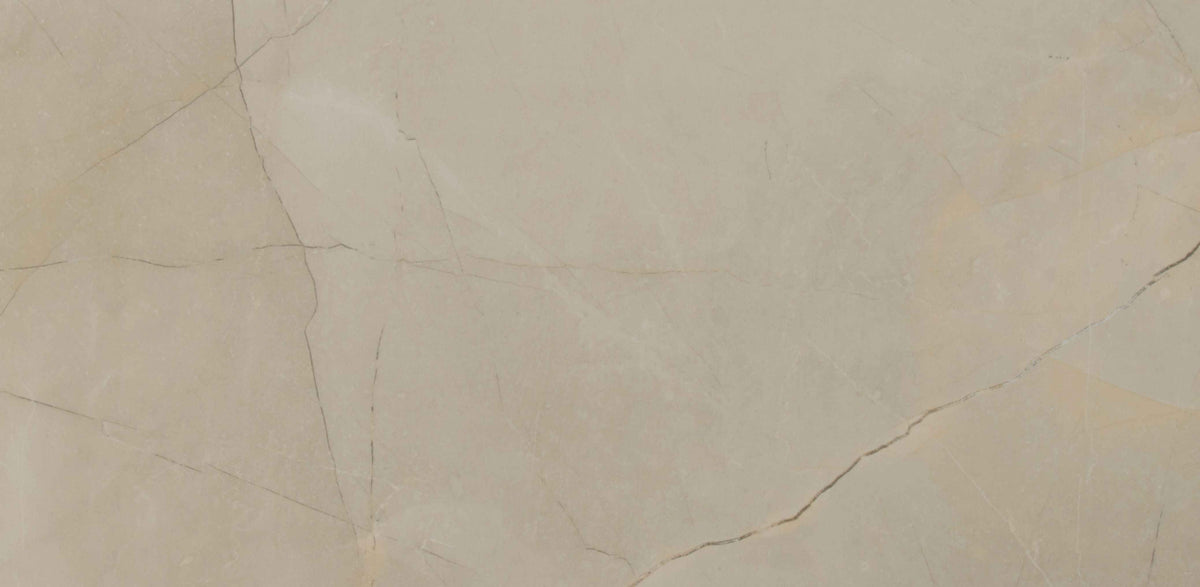 Cream 24"X48" Polished Porcelain Tile C4409