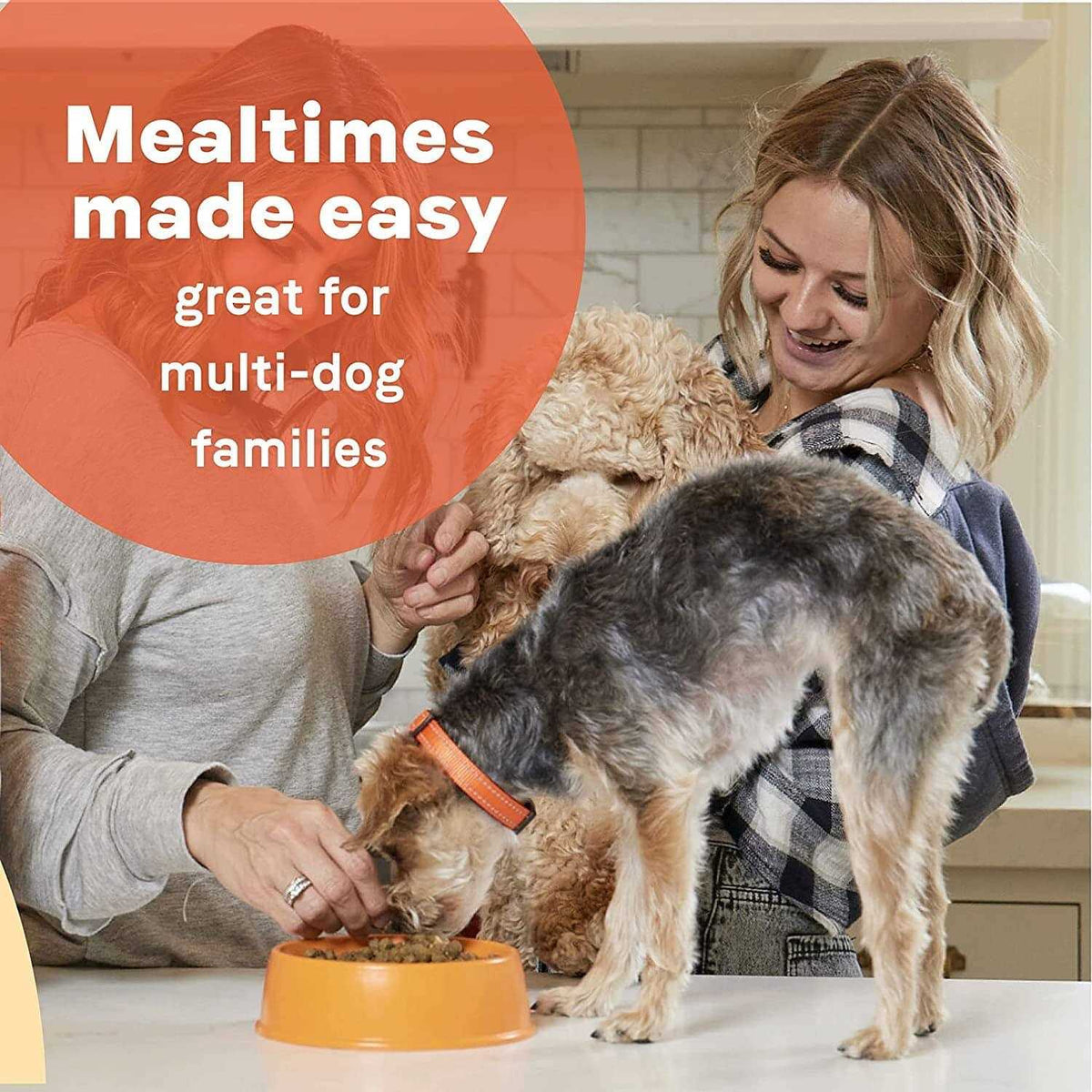 Dry Dog Food Lamb Meal & Rice E345474