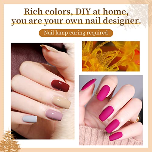 10 Colors Gel Nail Polish Kit with Mini UV LED Nail Lamp Base Coat Top Coat Set C243403