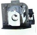 Projector TV Lamp Bulb E22696
