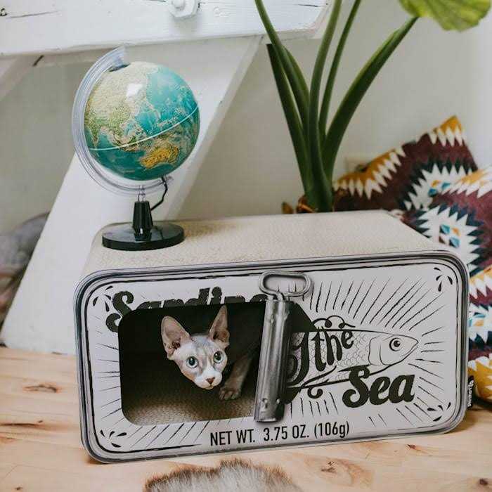 Cardboard Cat Scratcher F2901