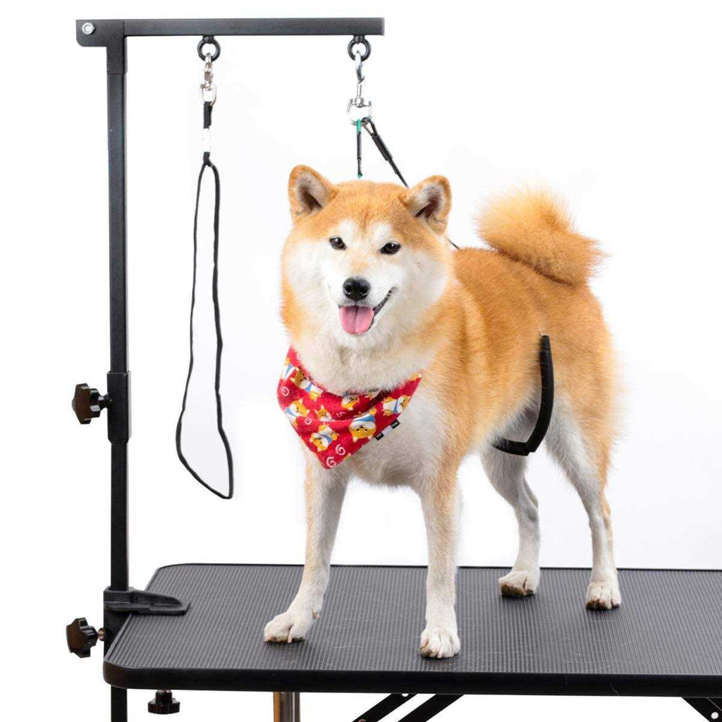 Dog Grooming Table Arm with Clamp and Post P279267