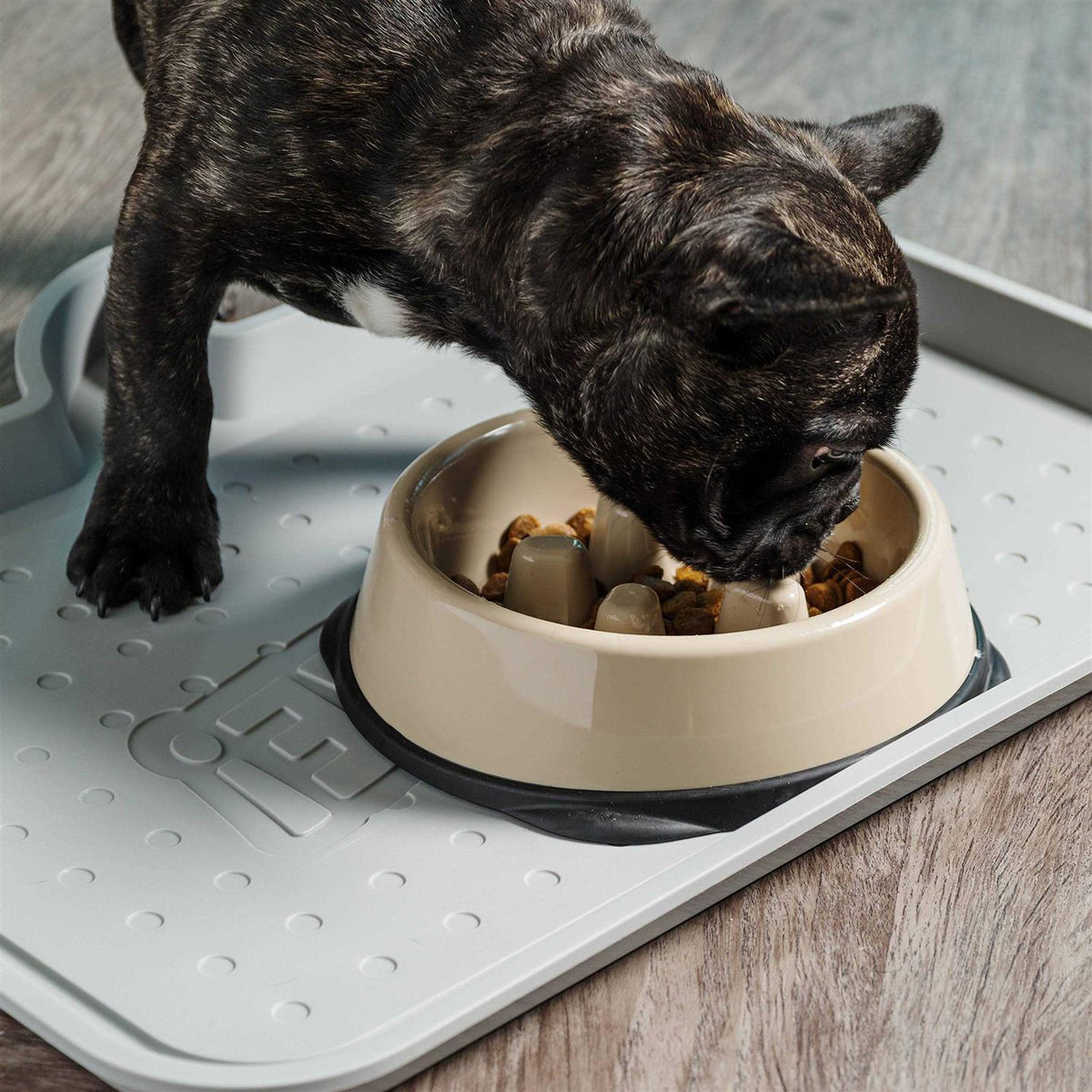 Slow Feeding Bowl for Short Snouted Pets J661