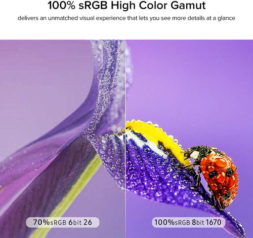 17.3 Inch IPS HDR FHD Portable Monitor with Dual Speaker E210