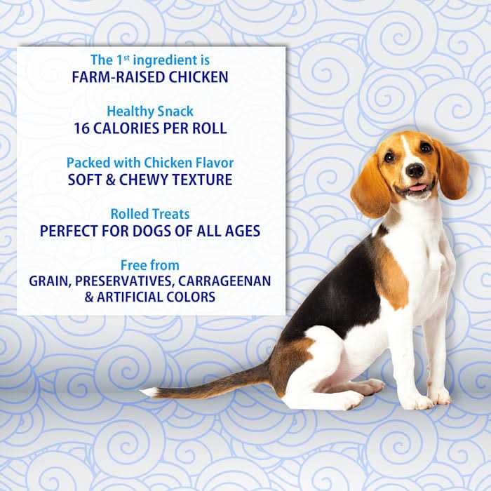 Chicken Recipe Dog Treat N7946