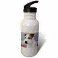 21 oz Sports Water Bottle B215