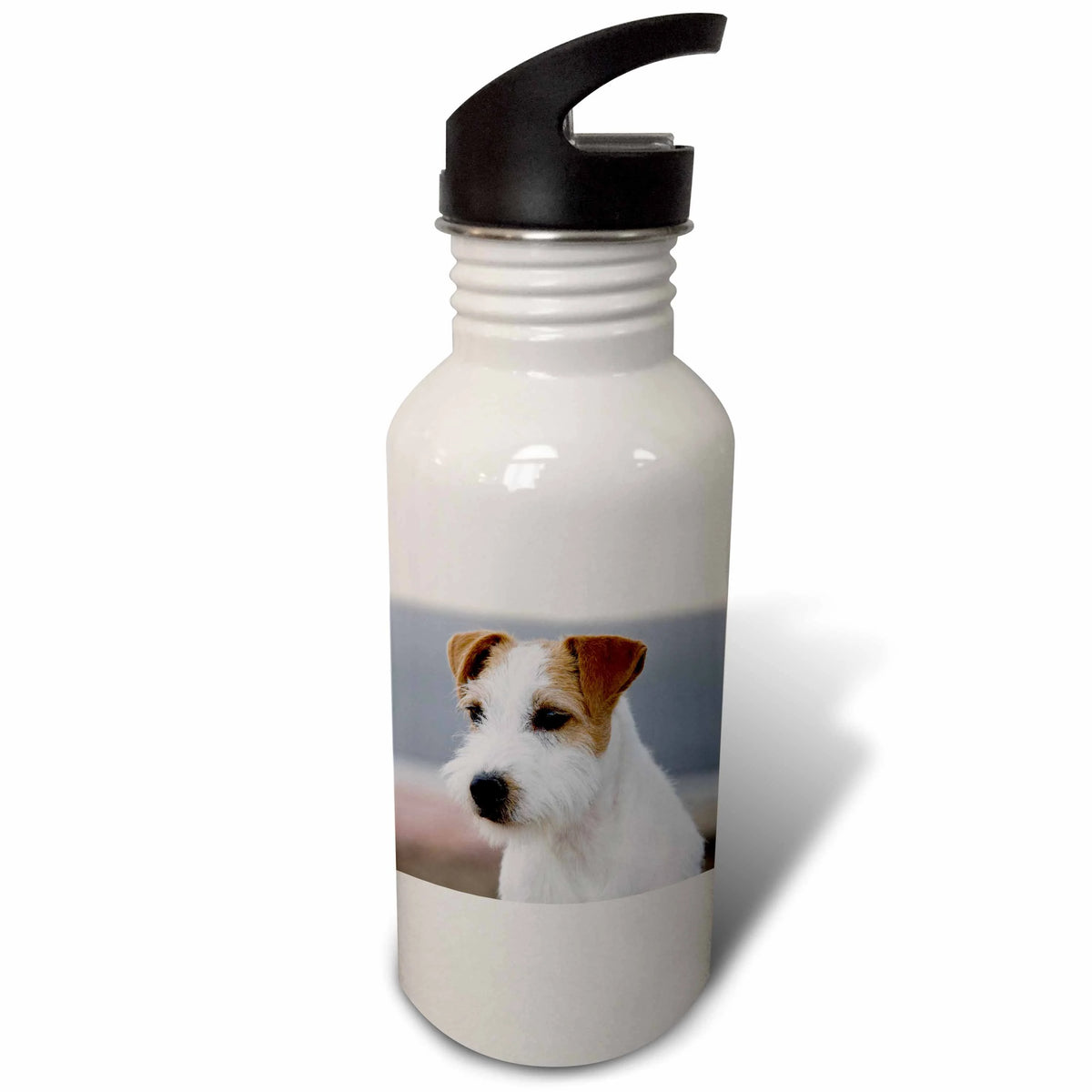 21 oz Sports Water Bottle B215